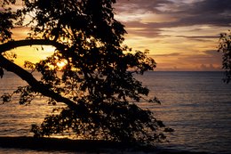 Arbre;-Archipel-des-Comores;-Ciel;-Coucher-de-soleil;-France;-Kaleidos;-Kaleidos-images;-La-parole-à-limage;-Laurent-Abad;-Mayotte;-Mer;-Océan-Indien;-Paysage-marin;-Silhouette;-Stories-Pictures